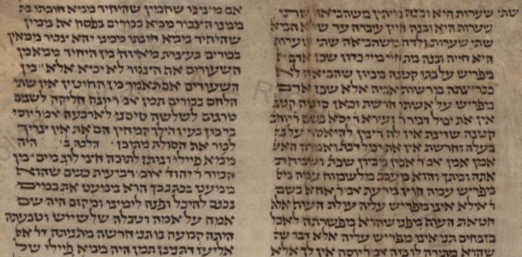 תמונת מסך כתב היד 133 מתוך הספריה הדיגיטלית של הוותיקן