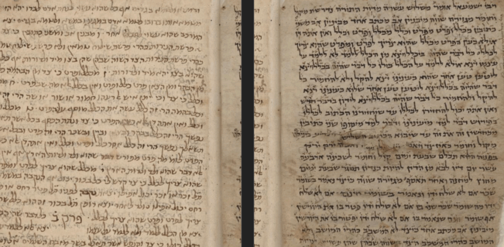 תמונת מסך כתב היד 66 מתוך הספריה הדיגיטלית של הוותיקן